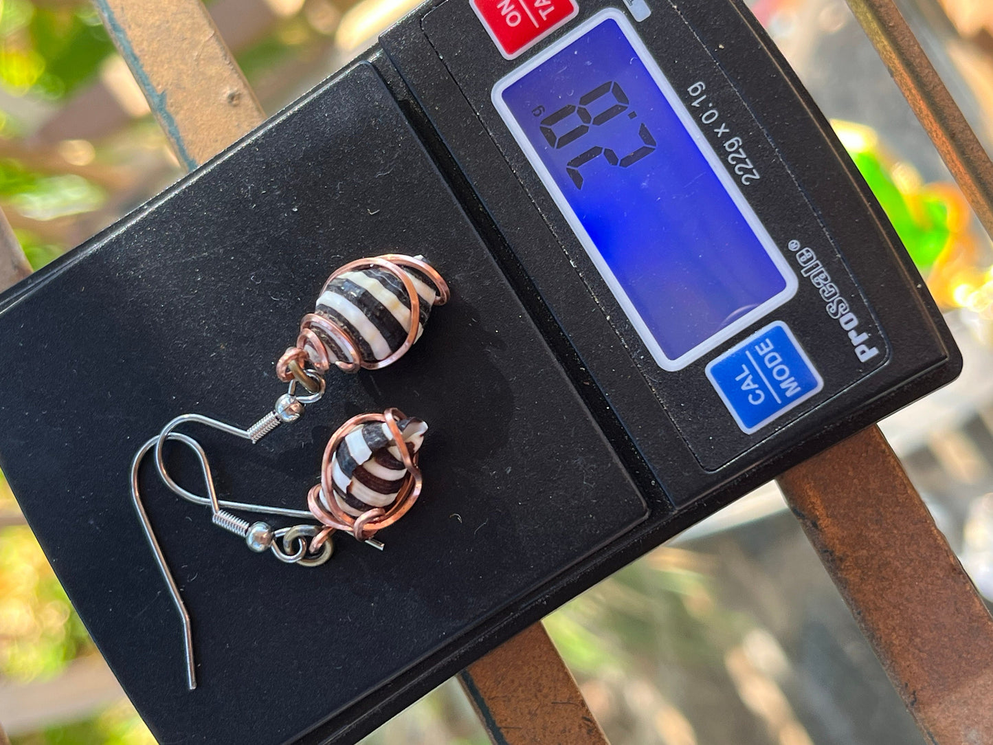 Whelk Sea Shells, Copper Jewelry, Striped Shell Earrings, WireWeavedUniques